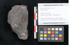 Foto (Objekt + Etikett) von Plantae indet.  (NHMW-GEO-2024-0188-10264)